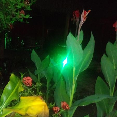 Araripe de Baixo Pousada Luar De Monte Cristo מראה חיצוני תמונה